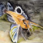 Aquarell, 32 x 24 cm