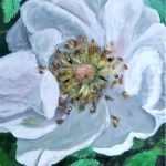 Wildrose, Acryl, 30 x 40